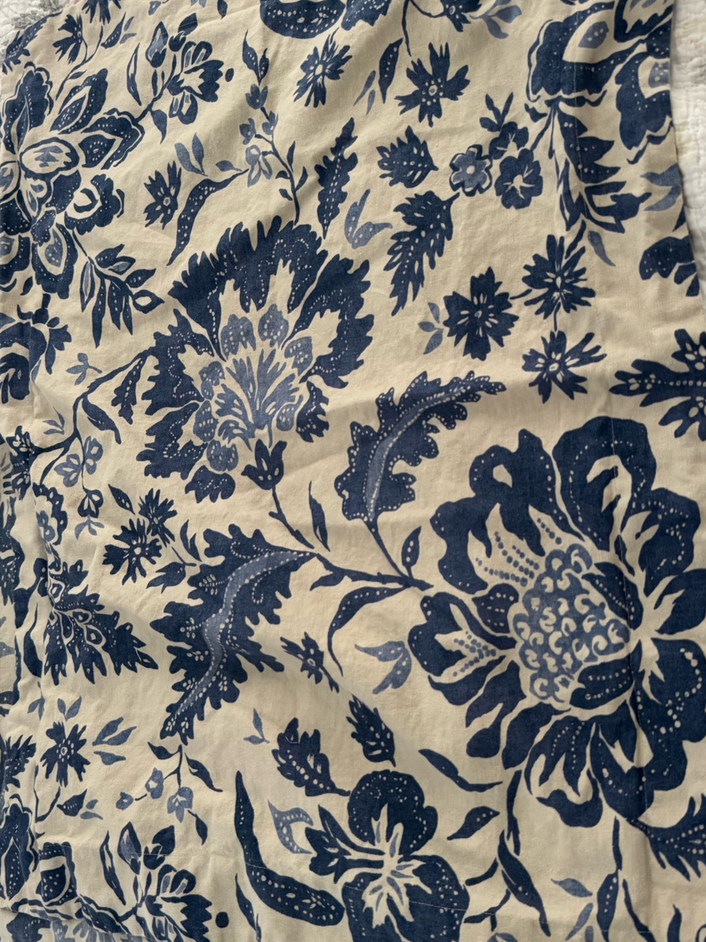 2 Pottery Barn Pillow Shams Blue and Cream Botanical Print Fabric